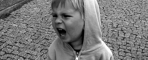 adaptive behavior