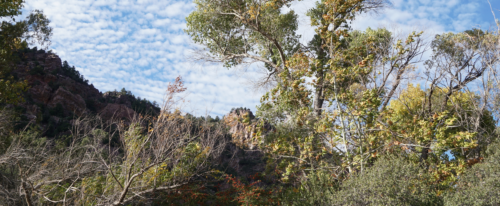 disciplining a child